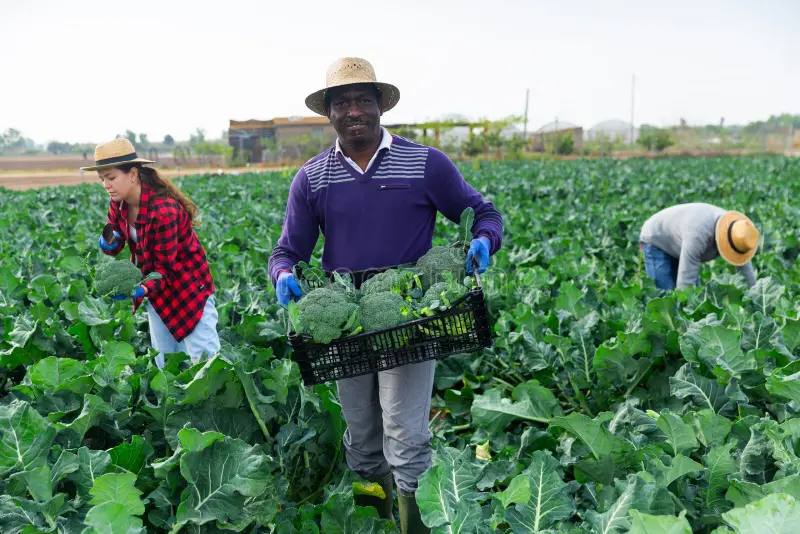 Farm Workers jobs in Canada